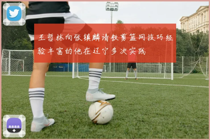 王哲林向张镇麟请教剪篮网技巧经验丰富的他在辽宁多次实践