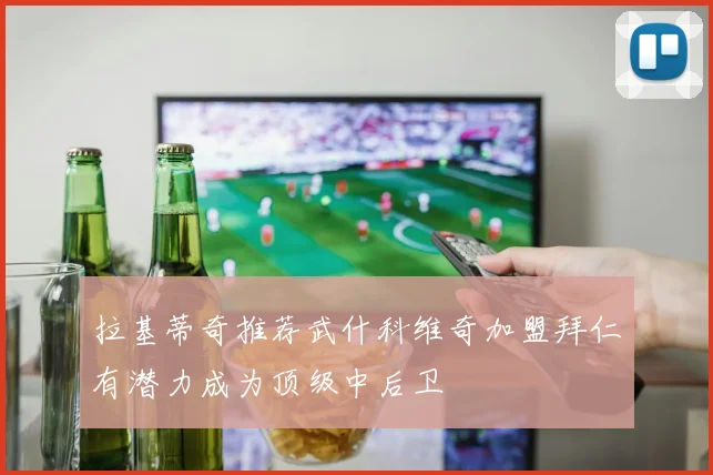 拉基蒂奇推荐武什科维奇加盟拜仁有潜力成为顶级中后卫