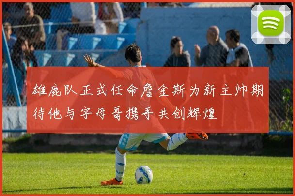 雄鹿队正式任命詹金斯为新主帅期待他与字母哥携手共创辉煌